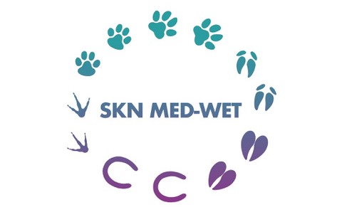 logosknmw2.jpeg