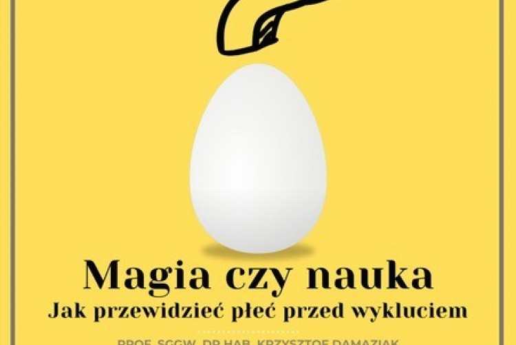 Wykład Magia czy nauka? Jak przewidzieć płeć przed wykluciem