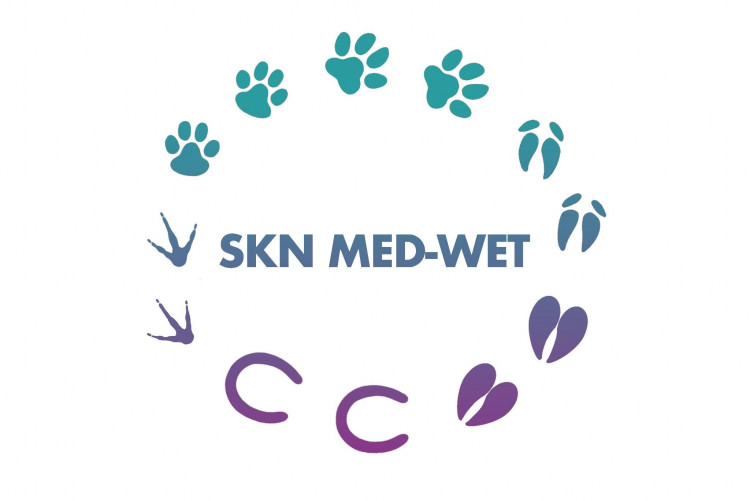 Logo SKN