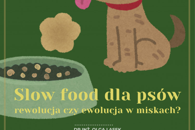 Plakat informacyjny Slow food dla psów - rewolucja czy ewolucja w miskach?