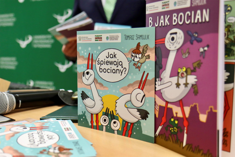Bocian biały - plebiscyt na zwierzę roku 2026