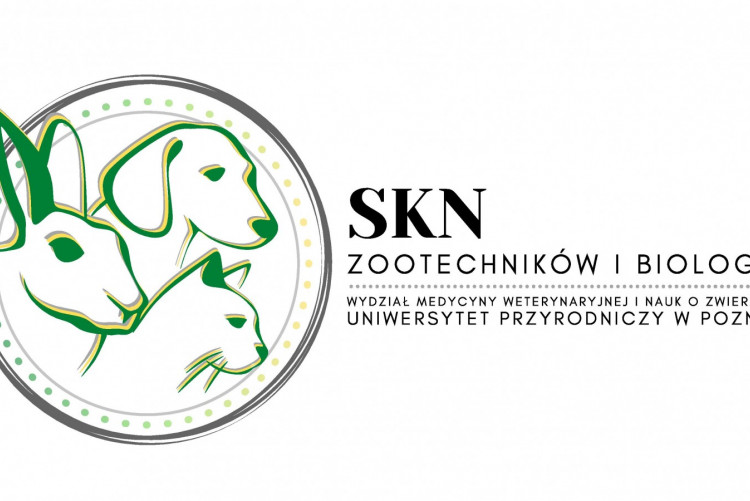 Logo SKN