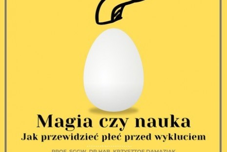 Wykład Magia czy nauka? Jak przewidzieć płeć przed wykluciem