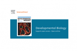 Fotografia strony startowej czasopisma Developmental biology