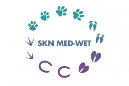 Logo SKN