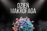 Plakat 3 dzień makrofaga